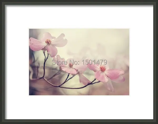 dogwood flower canvas print art painting modern painting painting