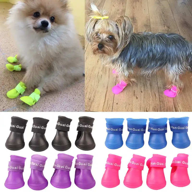 dog rain boots