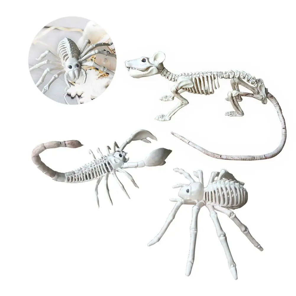 

Halloween Scorpion Spider Mouse Skeleton Halloween Horror Animal Decoration Props Halloween Decoration Skeleton Party Decoration
