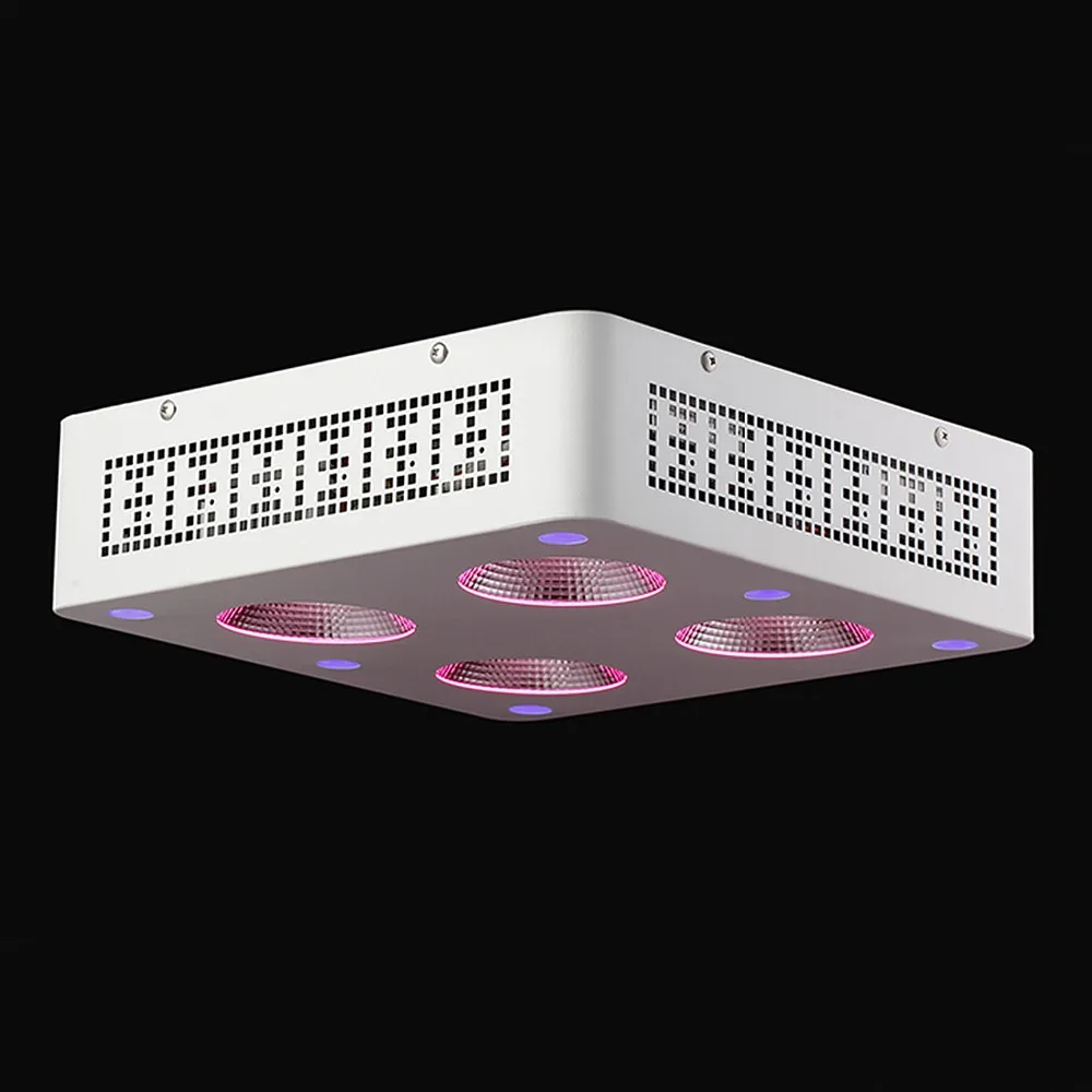 9159434251_1792704852