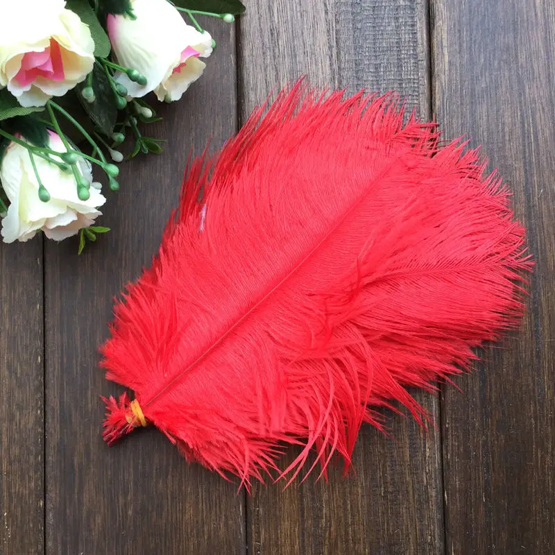 Ostrich feather2