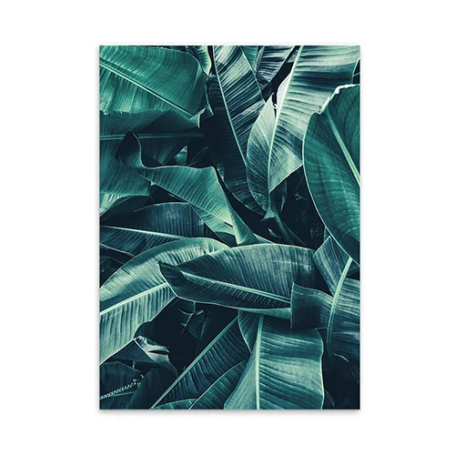 900D плакаты и принты, настенные художественные картины на холсте, зеленые пальмы, настенные картины для гостиной, скандинавские плакаты, Куадрос, Декор, NOR61 - Цвет: Green