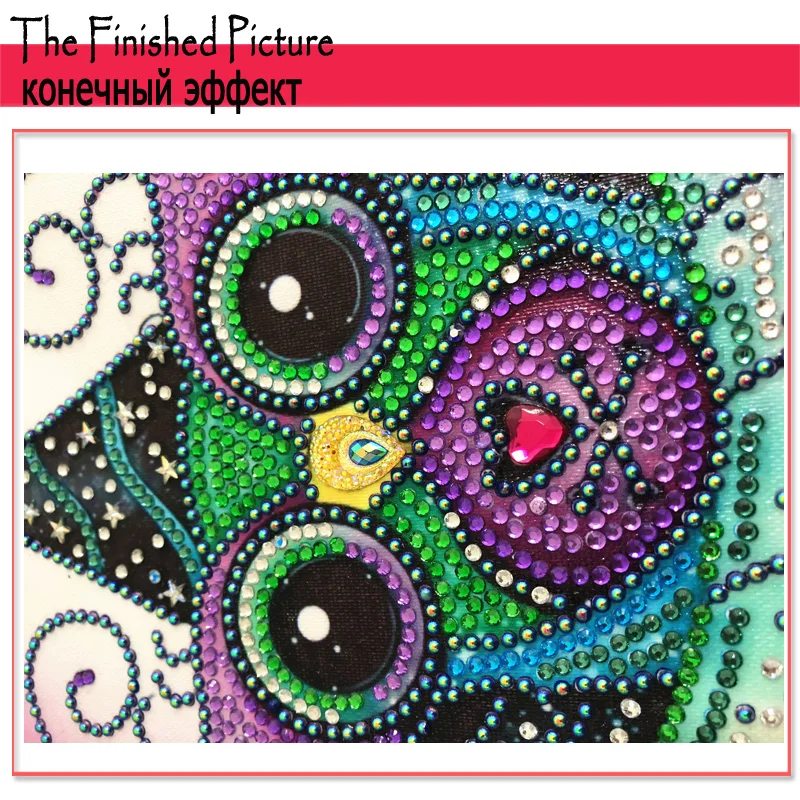 RUBOS DIY 5D Diamond Embroidery Owl Animals Special Bead Big Pearl Diamond Painting Mosaic New Sale Gift Craft Hobby Home Decor (20)