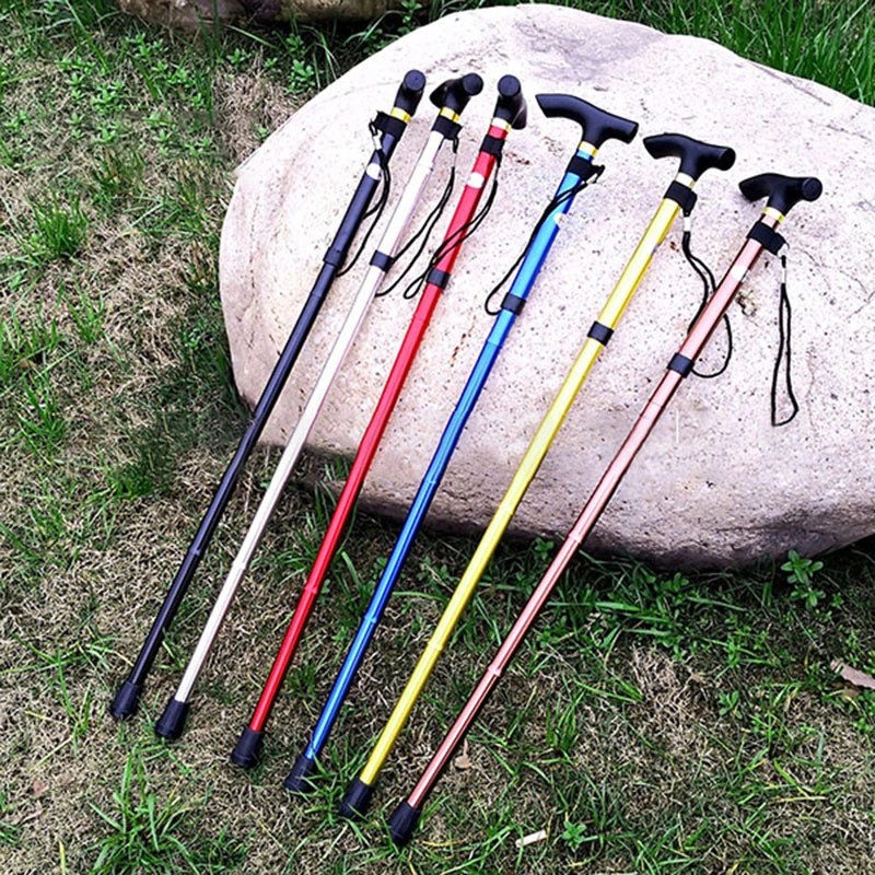 hiking sticks target