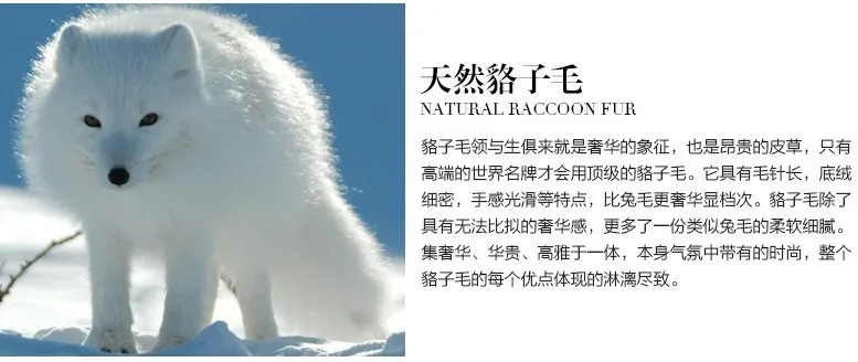 TB2p7yQdpXXXXcUXXXXXXXXXXXX_!!188246400