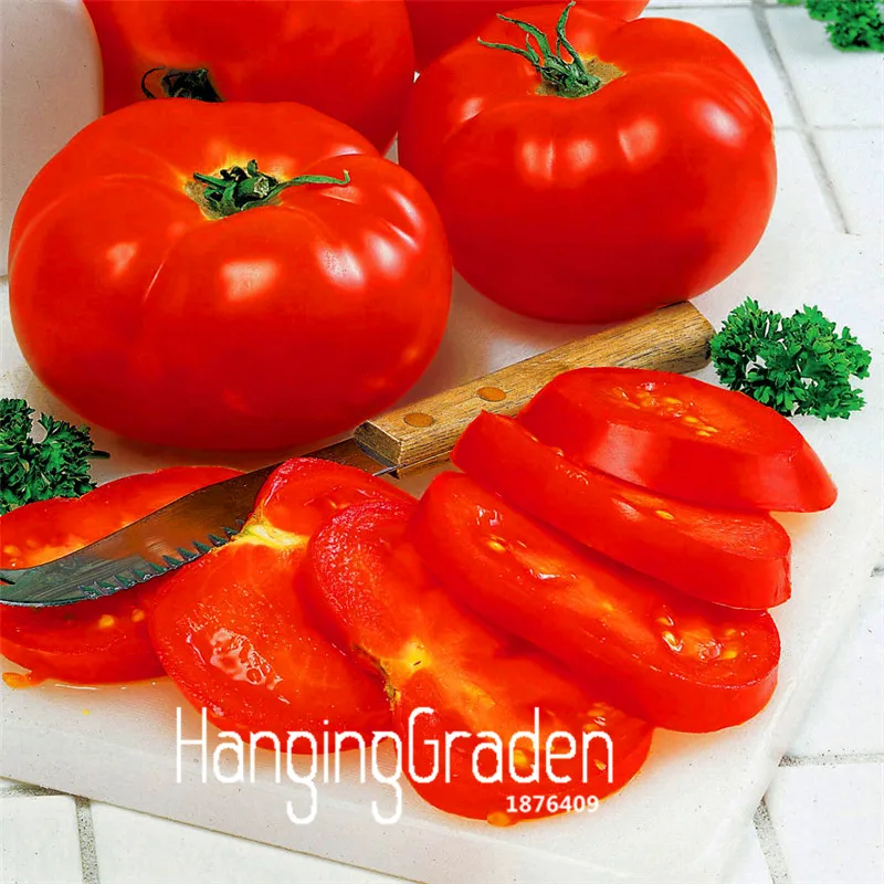 

Time-Limit!!Big Beef Hybrid Tomato bonsai, 100 Pcs / Lot, Extra-large, Extra-meaty, Extra-tasty Tomato,#CJ7SK3