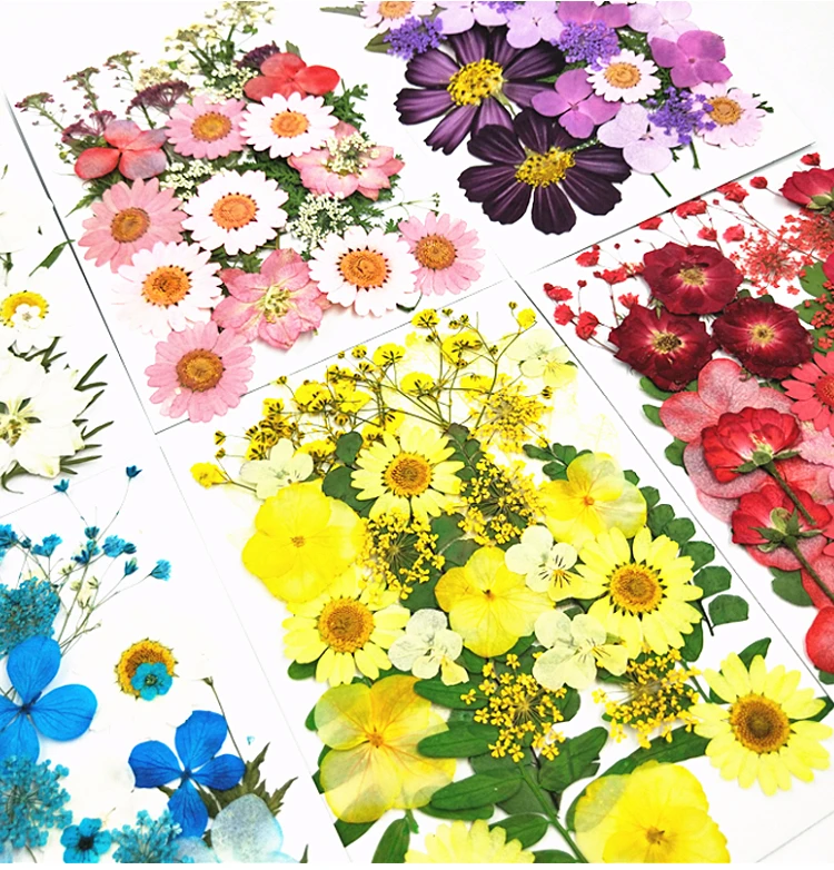 

Mixed Dried Pressed Flower+ Leaf Leaves Plants Herbarium For Jewelry Postcard Photo Frame Phone Case Making DIY 12 Designs Pick