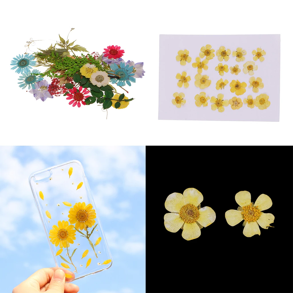 Pack of 50pcs Natural Dried Flower Real Flower Mixed For DIY Resin Ornament Craft Card Making Scrapbooking Embellishments