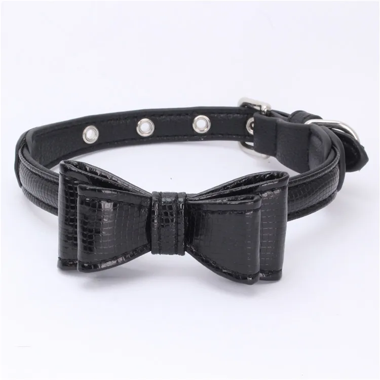 dog collar (9)