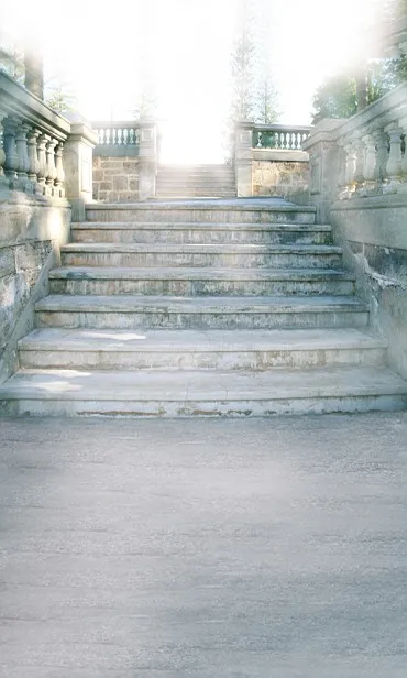 

New arrival Background fundo Upward stair steps 300CM*200CM(about 10ft*6.5ft) width backgrounds LK 2424