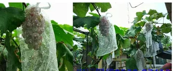 

25cm*35cm Package material Grape bagging fruit pulp net bag bird insect loquat white plastic special grape bagging