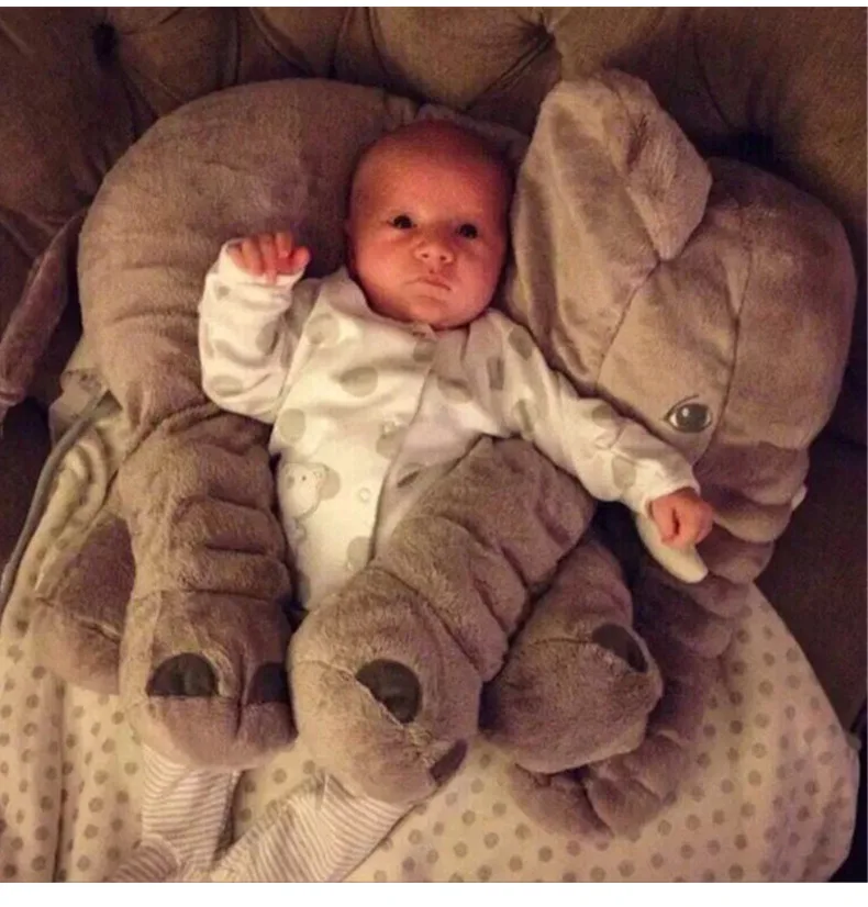 8550170261_1710747281