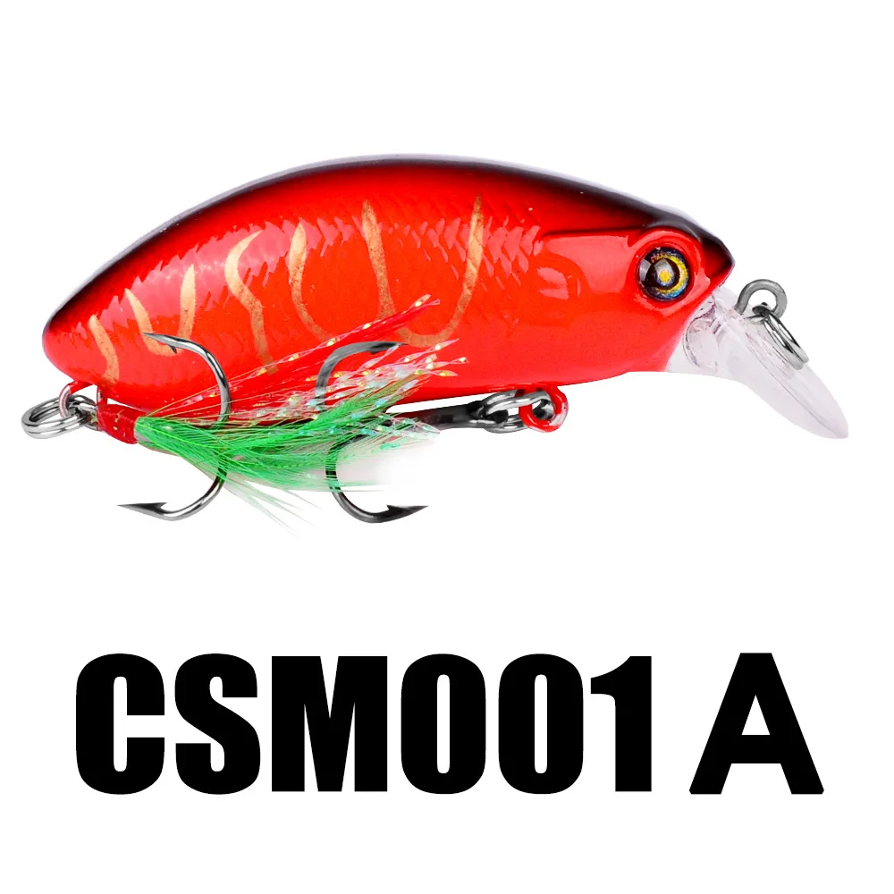 CSM001A.jpg