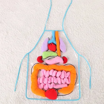

Plush Toy 3D Body Organ Viscera Teaching Utensil Body Organs Awareness Early Educational Toy for Kids Gift