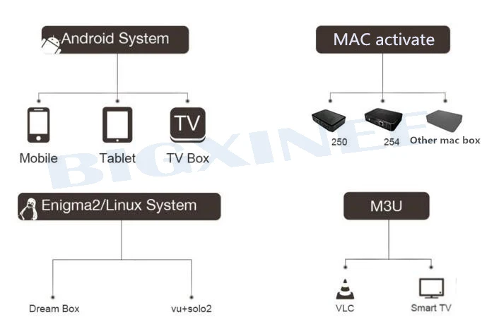 IP ТВ подписка 1 год Italia Испания французский арабский Великобритания Европа для Android tv Box Smart tv спутниковый ресивер через AV кабель