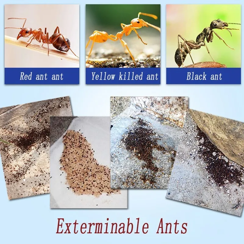 10 шт. очень мощная приманка для муравьев, порошка для лекарств, убийца, сеточка для насекомых, приманка для борьбы с вредителями, вредителями, убивают черных муравьев