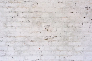 

300x200cm Brick Wall Portrait Photo Studio Vinyl Photography Backgrounds Backdrop Photo Children/Wedding Bride