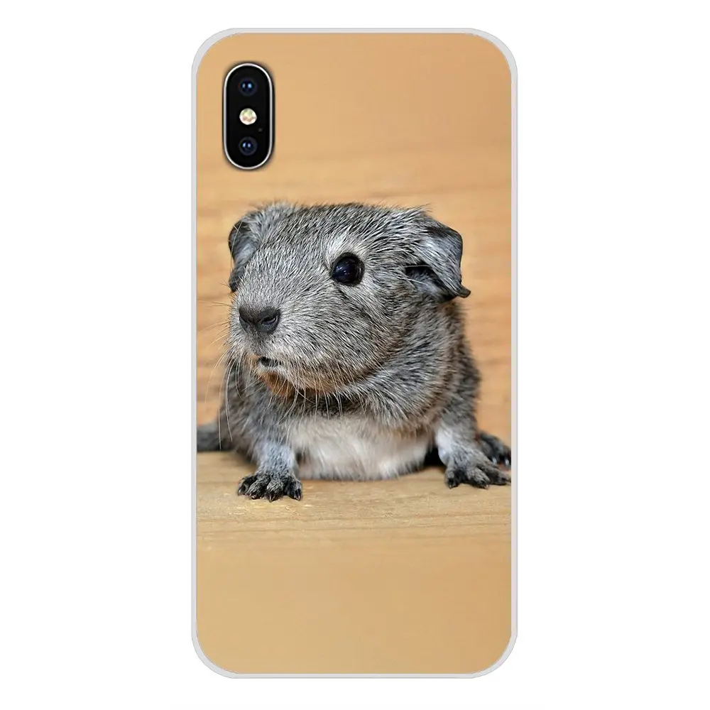 Милые животные морская свинка аксессуары чехлы для телефонов Чехлы Apple iPhone X XR XS MAX