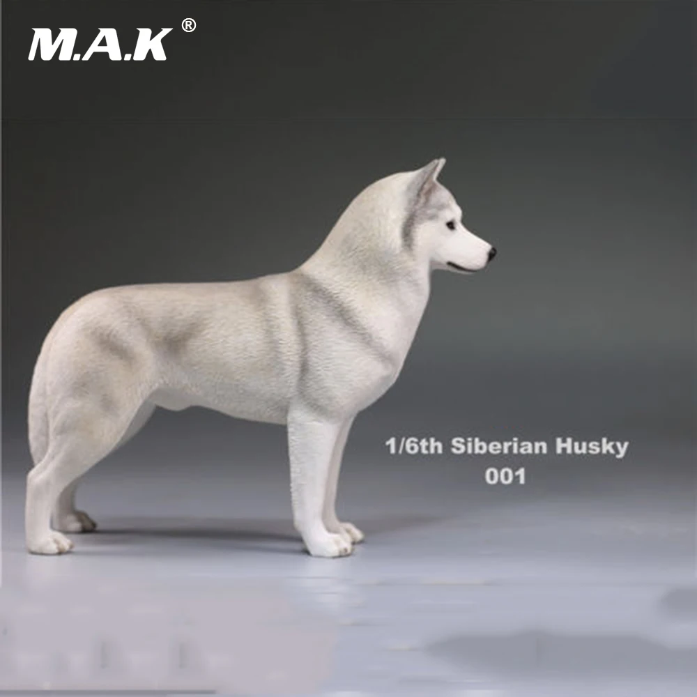 Экшн фигурка 1/6(12 дюймов) аксессуар 1:6 Сибирский хаски Имитация животных