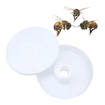 

Beekeeper Rapid Bee Feeder Beekeeping Drink Water Feeding Beekeeping Apiculture Tools Bee Keeping Equipment Box