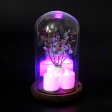 OurWarm Clear Glass Dome Night Light Bell Jar Display Wooden Base Base Flower Photo Display Party Favors  Holiday DIY Decoration