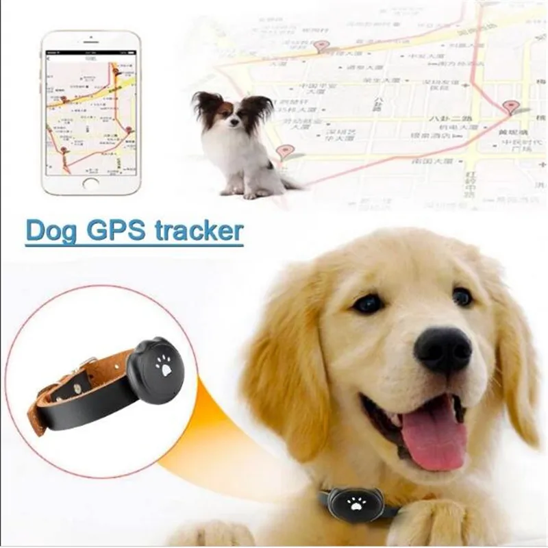 2019 Nouveau étanche Ip67 Smart Mini Pet Suivi Gps Tracker Collier Pour Chien Chat Agps Lbs Sms Positionnement Géo Clôture Dispositif De Suivi