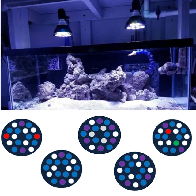 54w led reef aquarium
