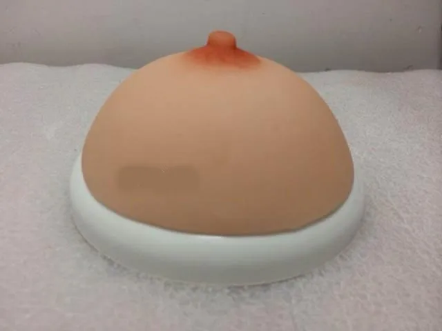2-3229-3