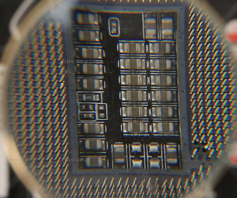 4901920073_1996311318