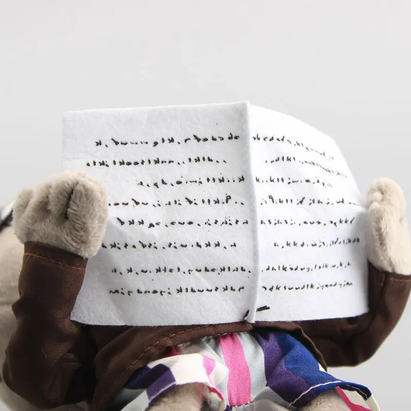 aeProduct.getSubject()