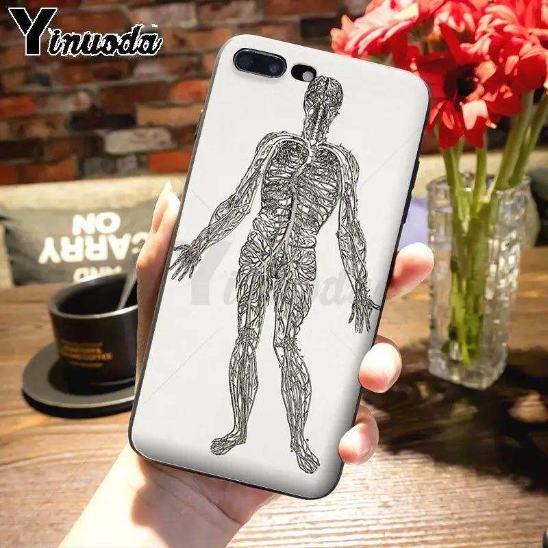 Yinuoda цветной милый чехол для телефона с анатомией человека iPhone 7plus 6S 7 xsmax xr 8 8Plus X 5S
