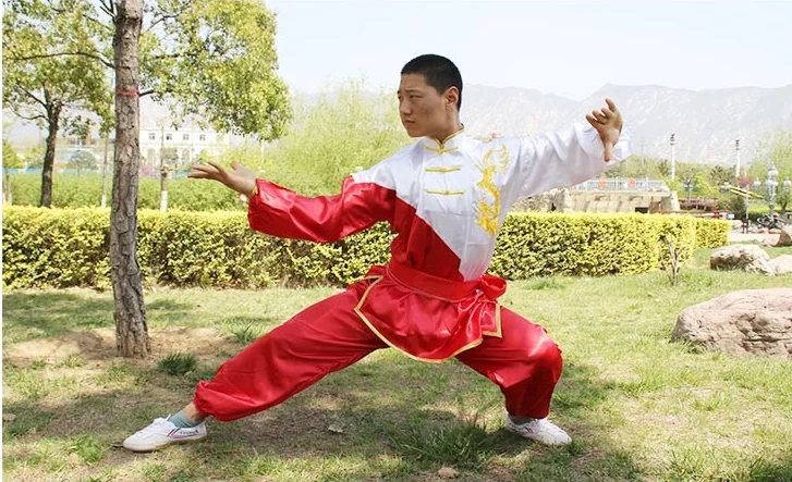 Wushu одежда для детей кунг-фу Униформа детская TA404 - Цвет: 1