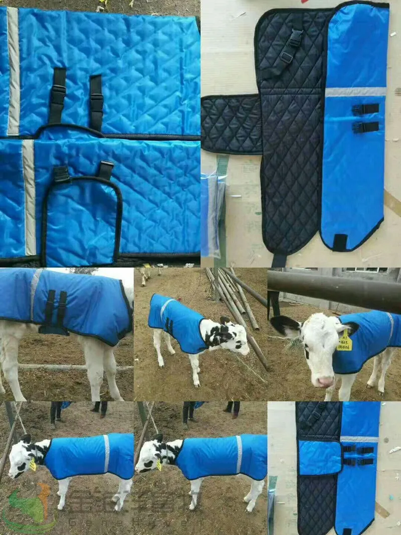 mmexport1544252919210