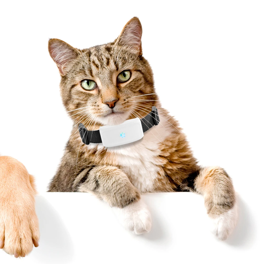 waterproof IP66 gps pet tracker cat dog tracker tk91120080727_0178