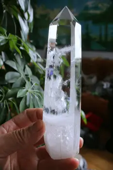 

ddh001628 Clear Lemurian Seed Quartz Natural Point Cluster Crystal Rough Healing