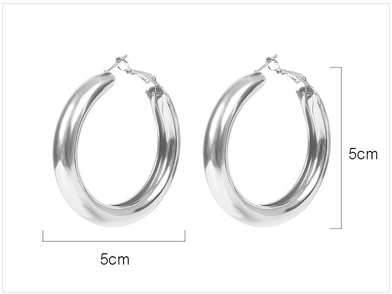 Hoop Earrings  (1)