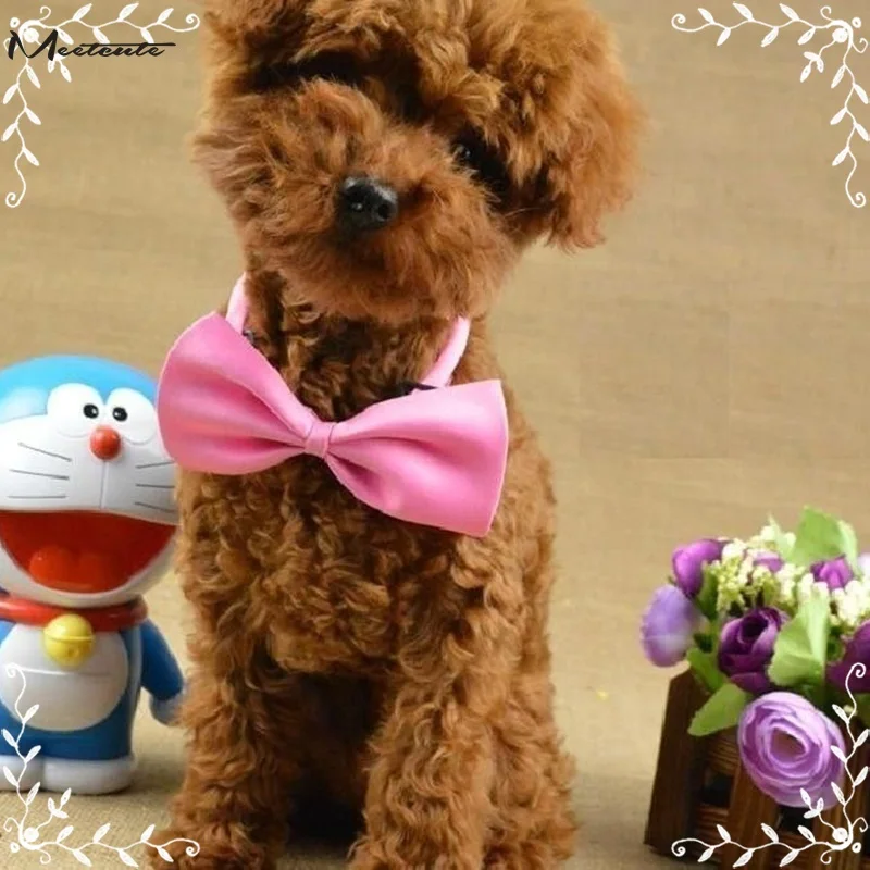 dogtie11