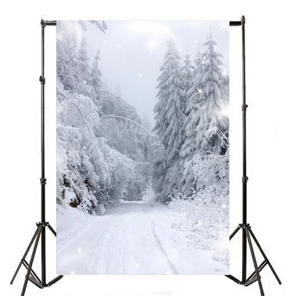 Laeacco Dreamy зима снег лес деревья путь сцена фотографии фоны для фотостудии Виниловые пользовательские Живописные фоны