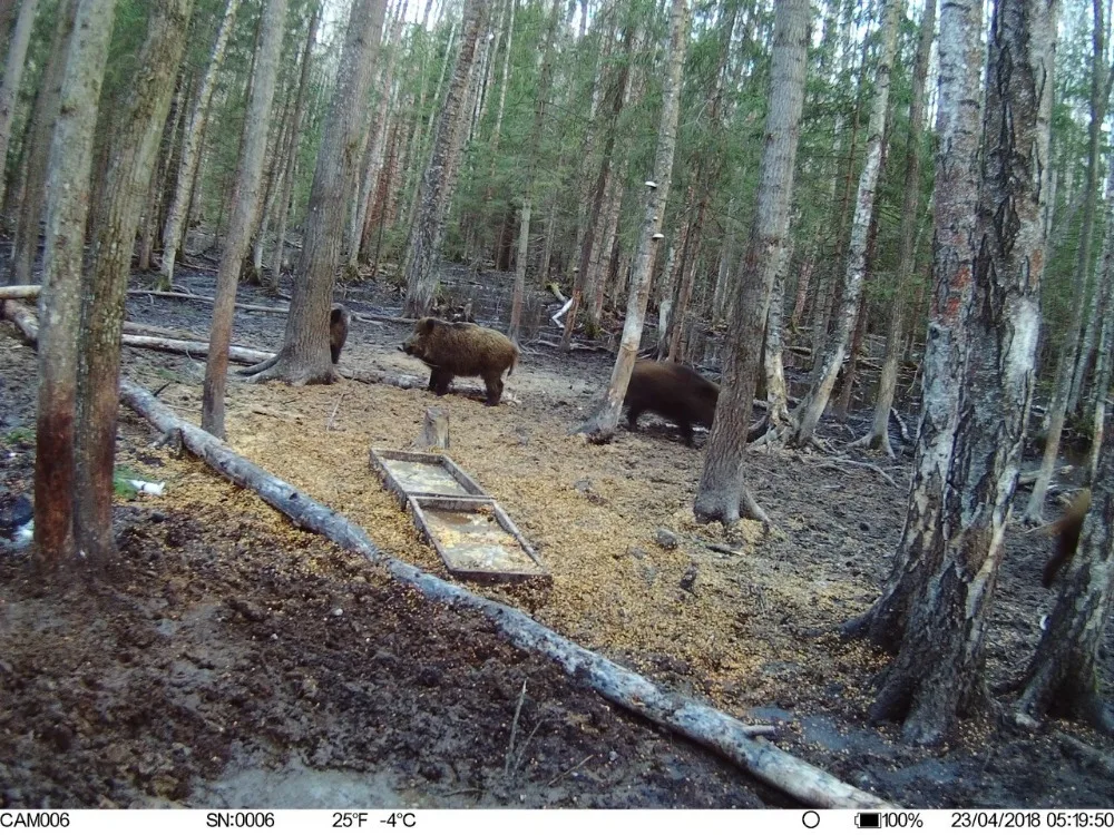 Охотничья камера Traps Photo BL480LP 4G охотничья камера с 12MP ScoutGuard Chasse Hunter Cams с Android/IOS APP охотничьи камеры