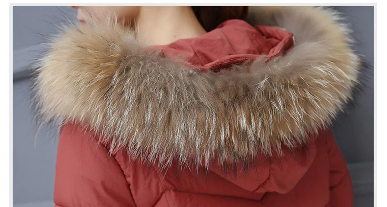 Padded Long Winter Coat Women Plus Size 3XL Ladies Coats With Fur Fake Collar Hooded Jacket Zipper Coat For Female 2018 New CH601 (5)