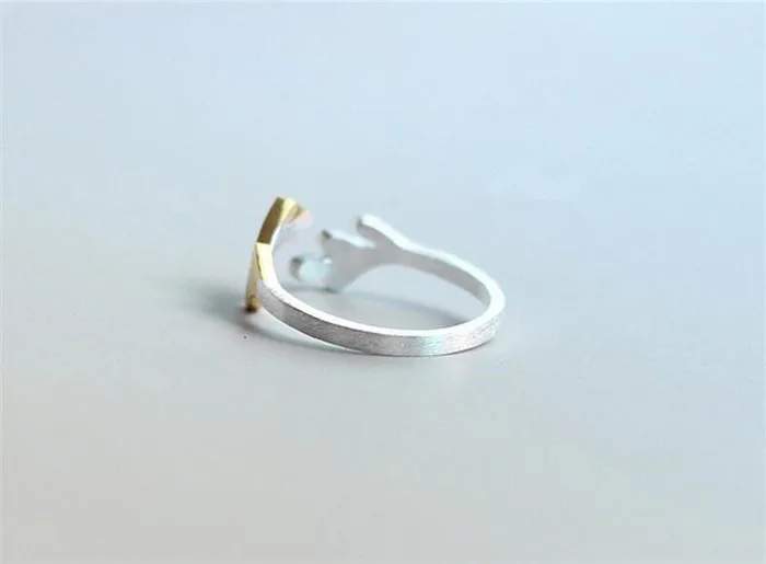 RS04306