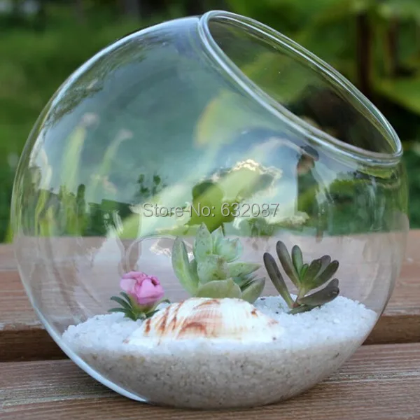 Popular Glass Terrarium Globes-Buy Cheap Glass Terrarium Globes Free Shipping Different Size Oblique Mouth Glass Terrarium Vase Diameter = 8cm 10cm 12cm 15cm Home - Popular Glass Terrarium Globes-Buy Cheap Glass Terrarium Globes