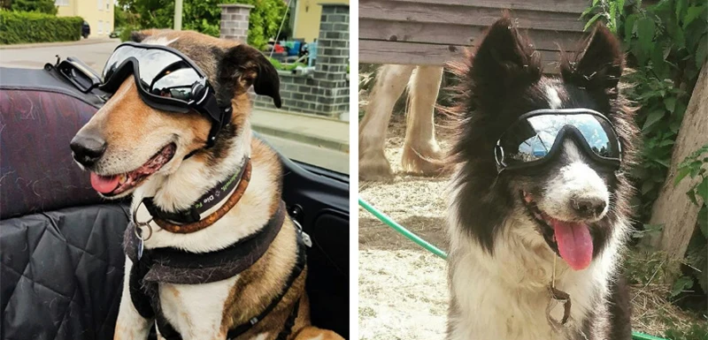 Dog Sunglasses UV Protection Windproof Goggles Pet Eye Wear Medium Large Dog Swimming Skating Glasses Accessaries Pet Supplies7