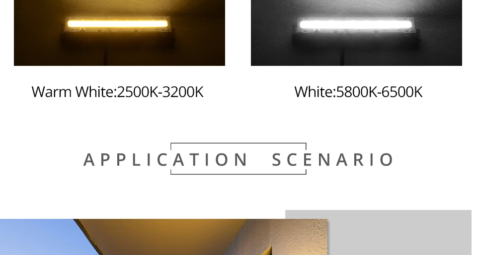 COB LED CHIP LAMP 12V (7)