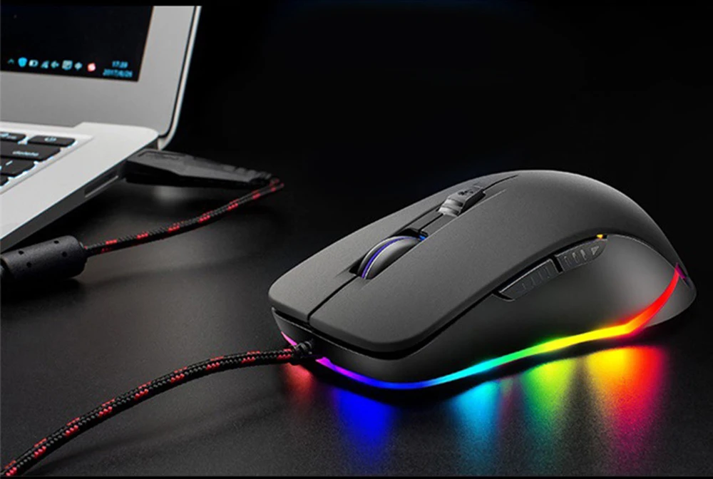 Mouse-2_07