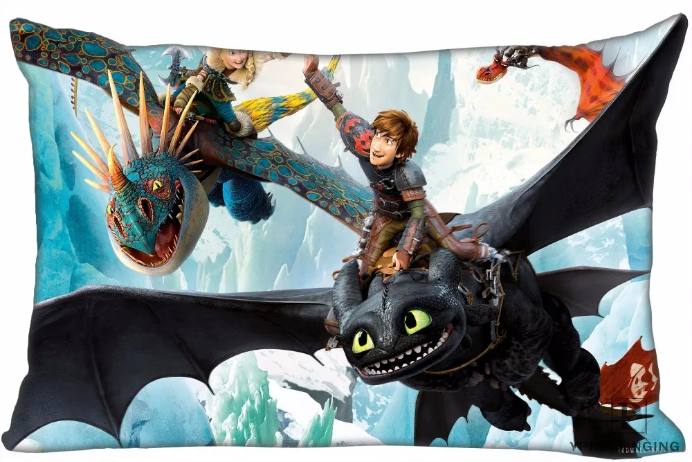 

Custom How To Train Your Dragon Pillow Covers Cases Rectangle Pillowcases zipper 40x60cm (One Side Print)180516-21-10