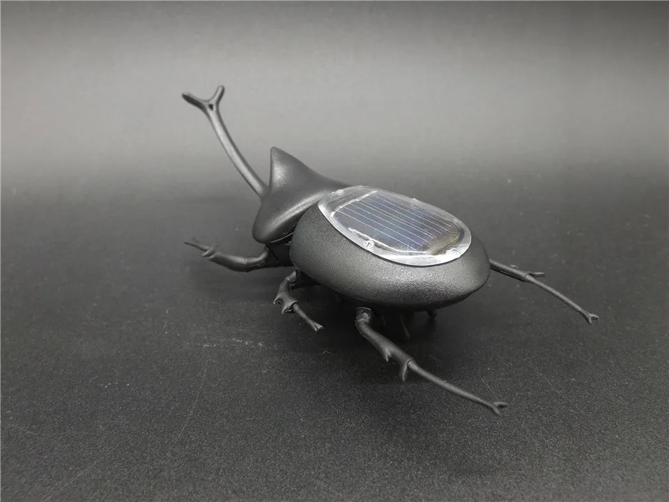 Solar-Uang-Black   (10)