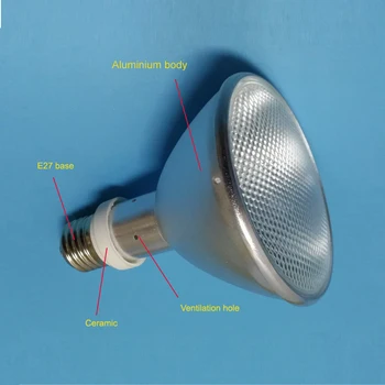 

12pcs 50w UVB bulb and with freight fees