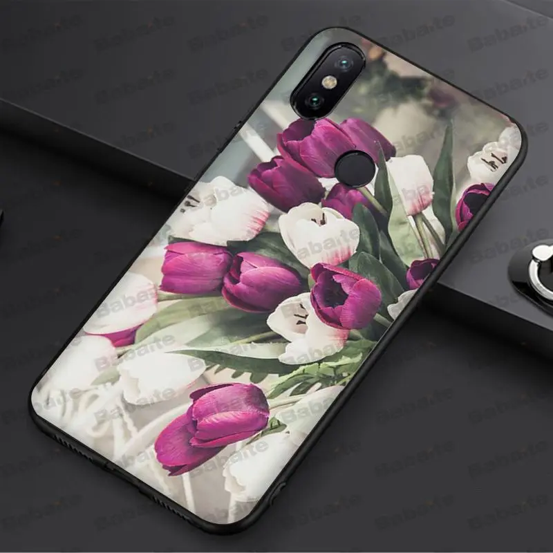tulip flower 