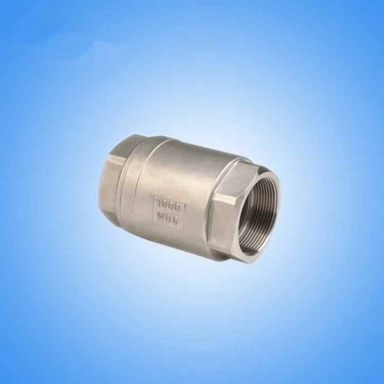 Пружинный обратный клапан из нержавеющей стали(304